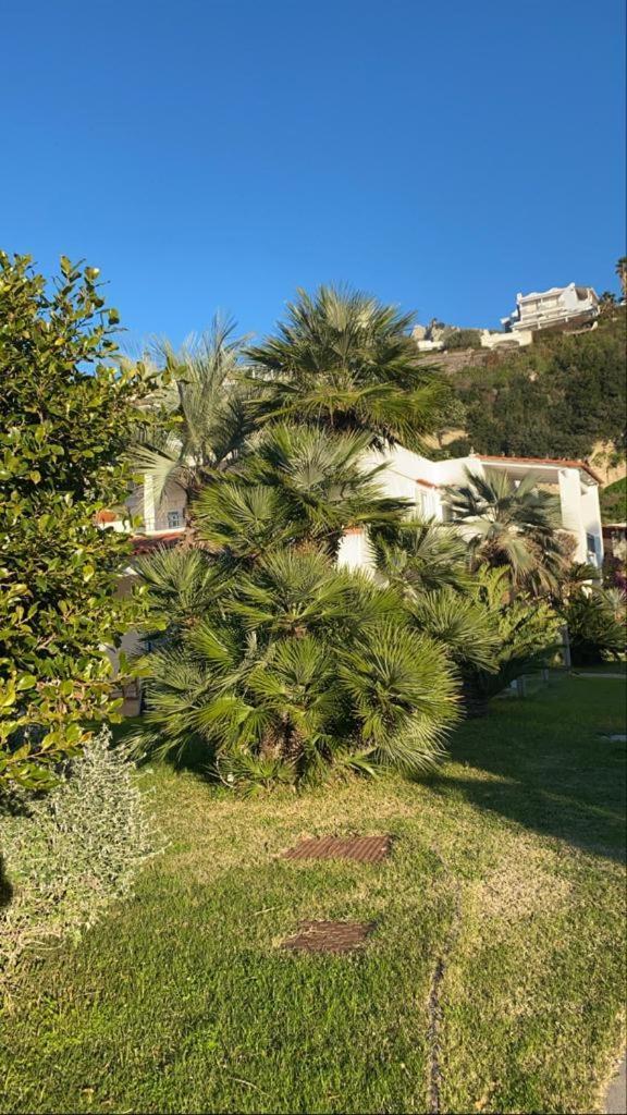 Casa Margherita Ischia Forio di Ischia Eksteriør billede